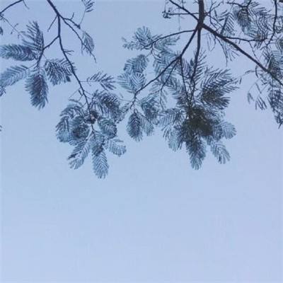 展品预告 + VR互动 | LMI 即将亮...